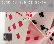 Dune-du-Sud (census area)  bingo