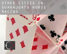 Other cities in Guanajuato  horse racing