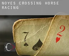 Noyes Crossing  horse racing