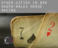 Other cities in New South Wales  horse racing