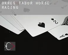 Okres Tábor  horse racing