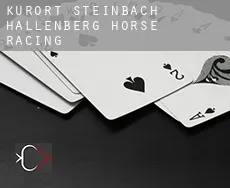 Kurort Steinbach-Hallenberg  horse racing