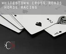 Whitestown Cross Roads horse racing