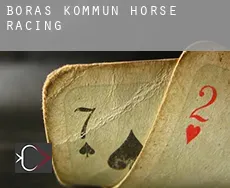 Borås Kommun  horse racing