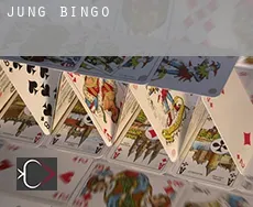 Jung  bingo
