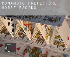 Kumamoto Prefecture  horse racing