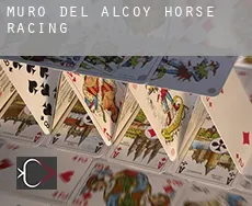 Muro del Alcoy  horse racing