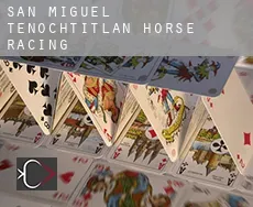 San Miguel Tenochtitlán  horse racing