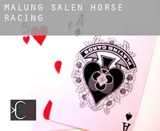 Malung-Sälen Municipality horse racing