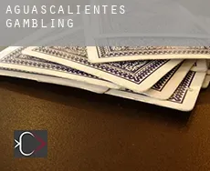 Aguascalientes  gambling