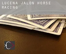 Lucena de Jalón horse racing